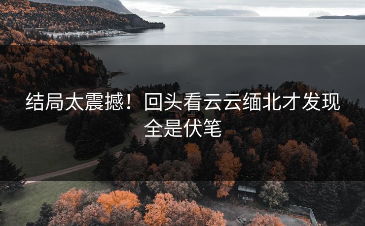 结局太震撼！回头看云云缅北才发现全是伏笔