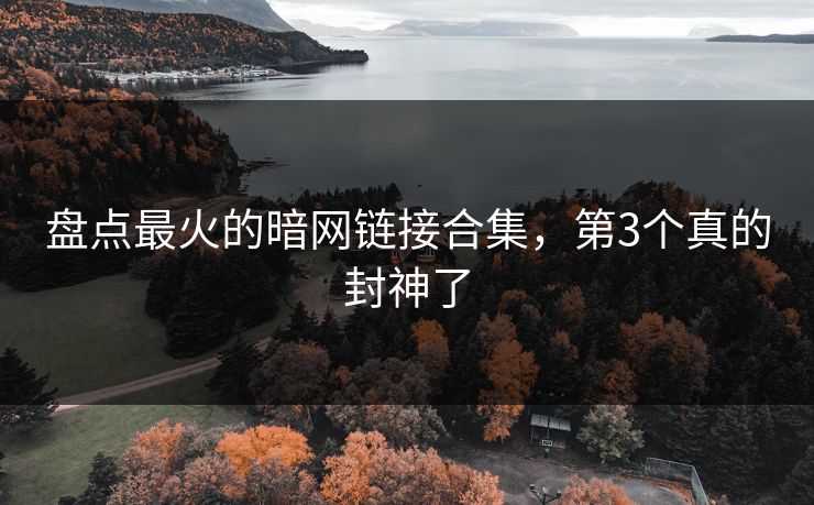 盘点最火的暗网链接合集，第3个真的封神了
