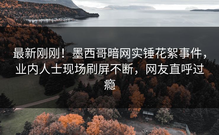 最新刚刚！墨西哥暗网实锤花絮事件，业内人士现场刷屏不断，网友直呼过瘾