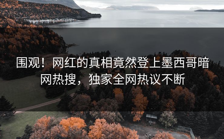 围观！网红的真相竟然登上墨西哥暗网热搜，独家全网热议不断