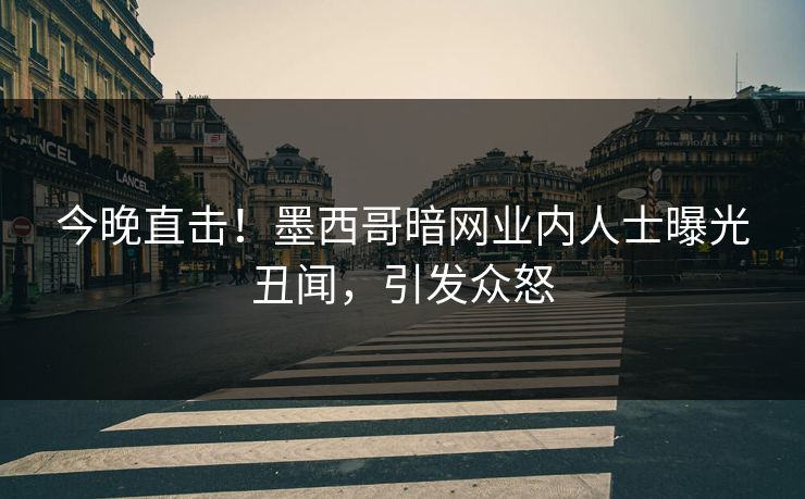 今晚直击！墨西哥暗网业内人士曝光丑闻，引发众怒