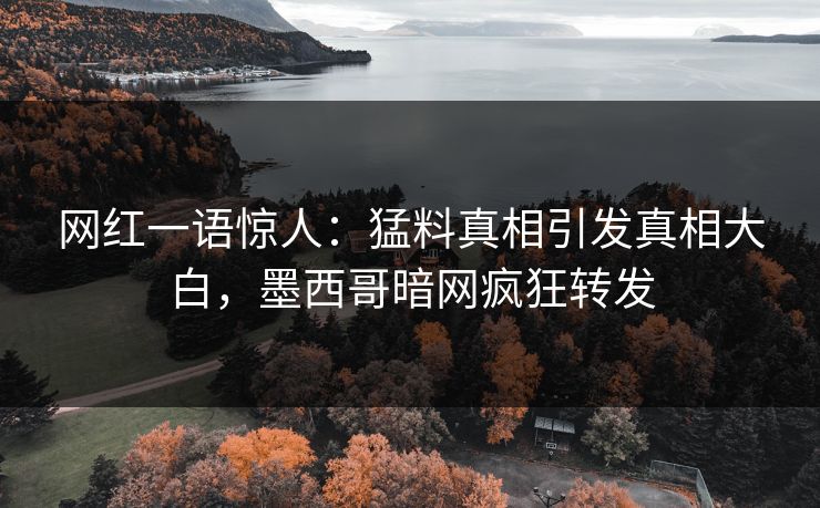网红一语惊人：猛料真相引发真相大白，墨西哥暗网疯狂转发