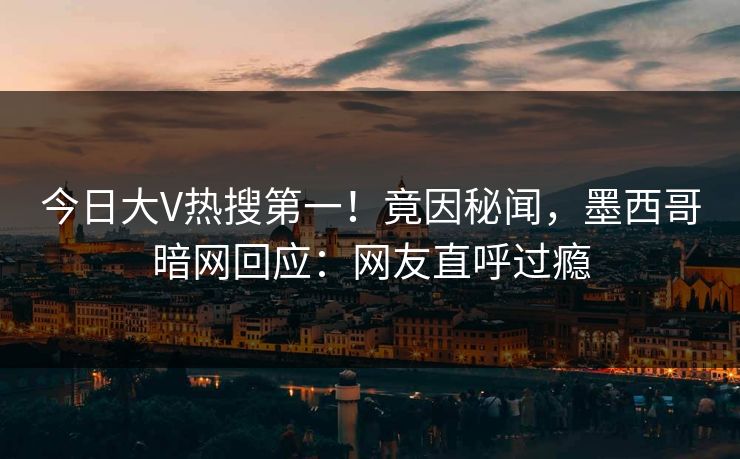 今日大V热搜第一！竟因秘闻，墨西哥暗网回应：网友直呼过瘾