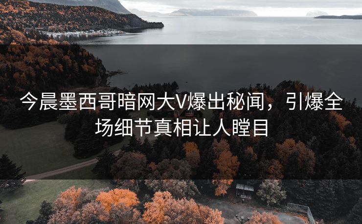 今晨墨西哥暗网大V爆出秘闻，引爆全场细节真相让人瞠目