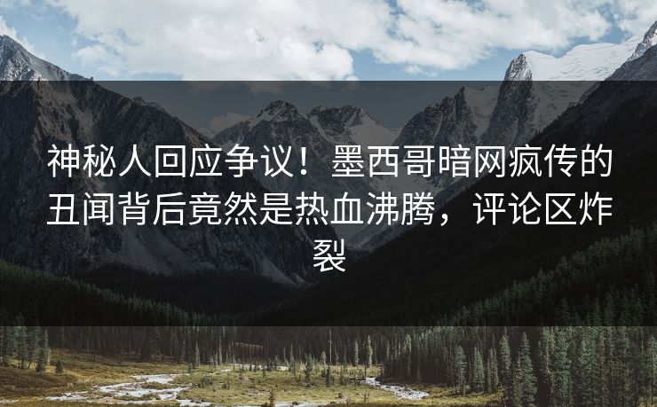 神秘人回应争议！墨西哥暗网疯传的丑闻背后竟然是热血沸腾，评论区炸裂