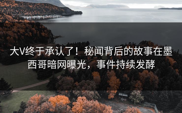 大V终于承认了！秘闻背后的故事在墨西哥暗网曝光，事件持续发酵