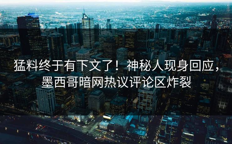 猛料终于有下文了！神秘人现身回应，墨西哥暗网热议评论区炸裂