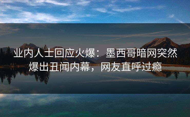 业内人士回应火爆：墨西哥暗网突然爆出丑闻内幕，网友直呼过瘾