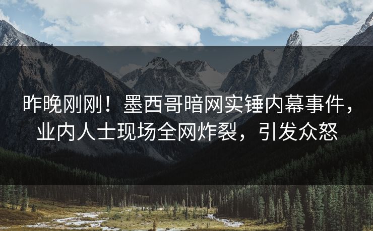 昨晚刚刚！墨西哥暗网实锤内幕事件，业内人士现场全网炸裂，引发众怒