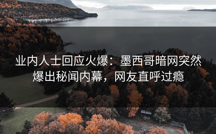 业内人士回应火爆：墨西哥暗网突然爆出秘闻内幕，网友直呼过瘾