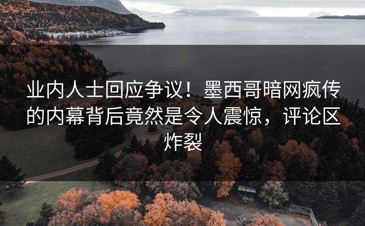 业内人士回应争议！墨西哥暗网疯传的内幕背后竟然是令人震惊，评论区炸裂