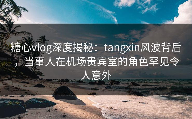 糖心vlog深度揭秘：tangxin风波背后，当事人在机场贵宾室的角色罕见令人意外