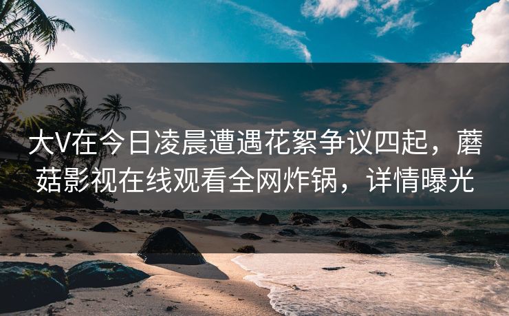 大V在今日凌晨遭遇花絮争议四起，蘑菇影视在线观看全网炸锅，详情曝光